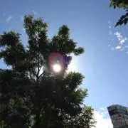 nirの画像