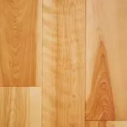 バーチの画像