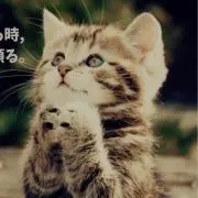 お里の画像