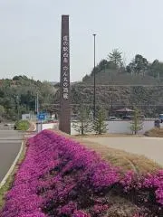 Image of のん太