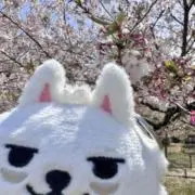 meme♡