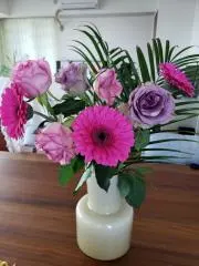 未使用 2025年1月～12月号 MEDICAL VIEW 臨床画像 - メルカリ