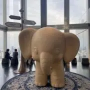 むあの画像
