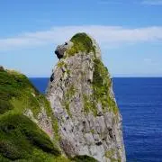 rakusiaの画像