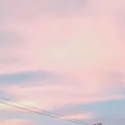 きびだんご