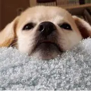 mzkᵕ̈* 断捨離中！の画像