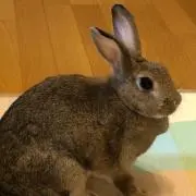 そうともママ  即購入OKの画像