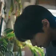 ことりの画像
