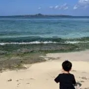 Kokoの画像