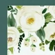 Maruの画像