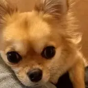 まろんママの画像