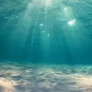 明日は快晴の画像