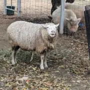 ゆうすけの画像