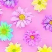 まやあいの画像