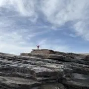 しばの画像