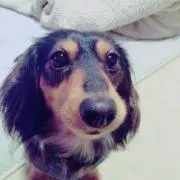 めぐぴ