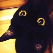 いす【プロフにフォロー割引詳細掲載中】