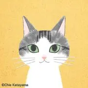merumo22の画像