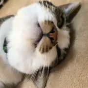 kmryの画像