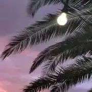 mik.の画像