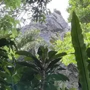 Pecheの画像