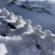 みーすけたろうの画像