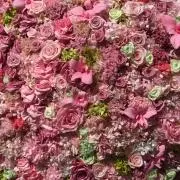ハナミズキの画像