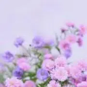 Shion◎5/22～値下中の画像