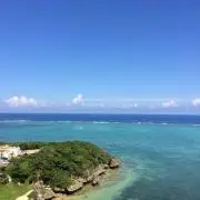ラムの画像