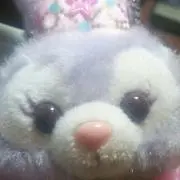 ふくふくの画像