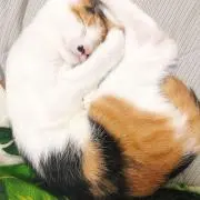 ジェイアキ☆プロ必読✅の画像