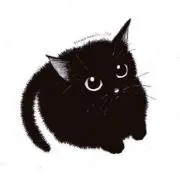 CATちゃんの画像