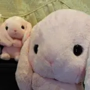 hana♪