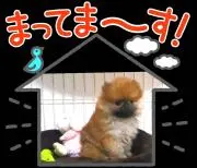 なべし