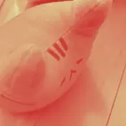 おねむねこ