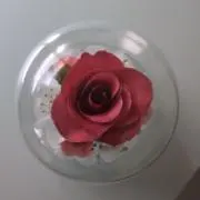 みどりの画像