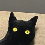 Dancingの画像
