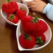 strawberryの画像