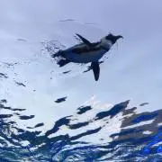 masaの画像