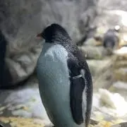 恵美