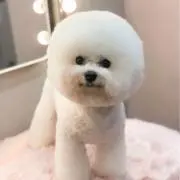 れみの画像