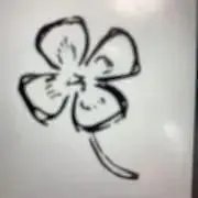 ニノの画像