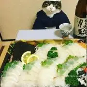 ハルの画像