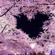 まあの画像