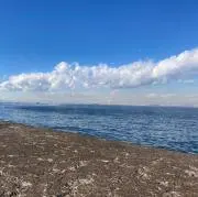 LR.の画像