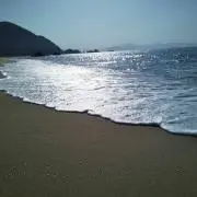 ＺｚＴoＰ！の画像