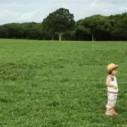 こぐまの画像