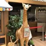 sumeの画像