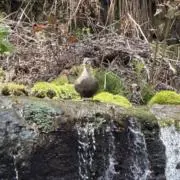 kーずの画像