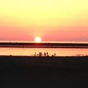 ヤンマー555の画像